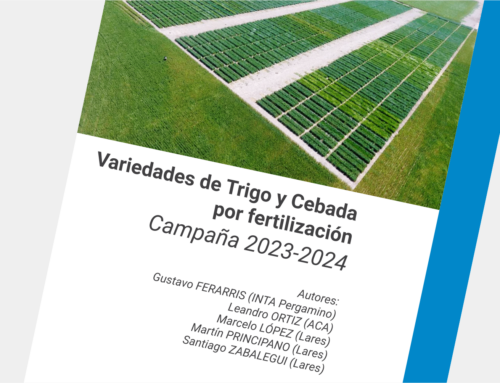 Investigación con INTA Pergamino: respuesta del trigo y la cebada a la fertilización.