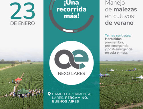 Nos vemos de nuevo en Nexo Lares: 23 de enero