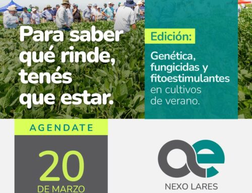 Llega una nueva Nexo Lares con el foco en ensayos de Genética, fungicidas y fitoestimulantes en cultivos de verano